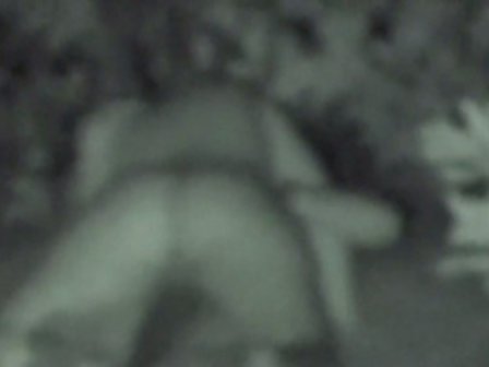 Amateur couple sex in the bushes in a public park at night pic photo photo